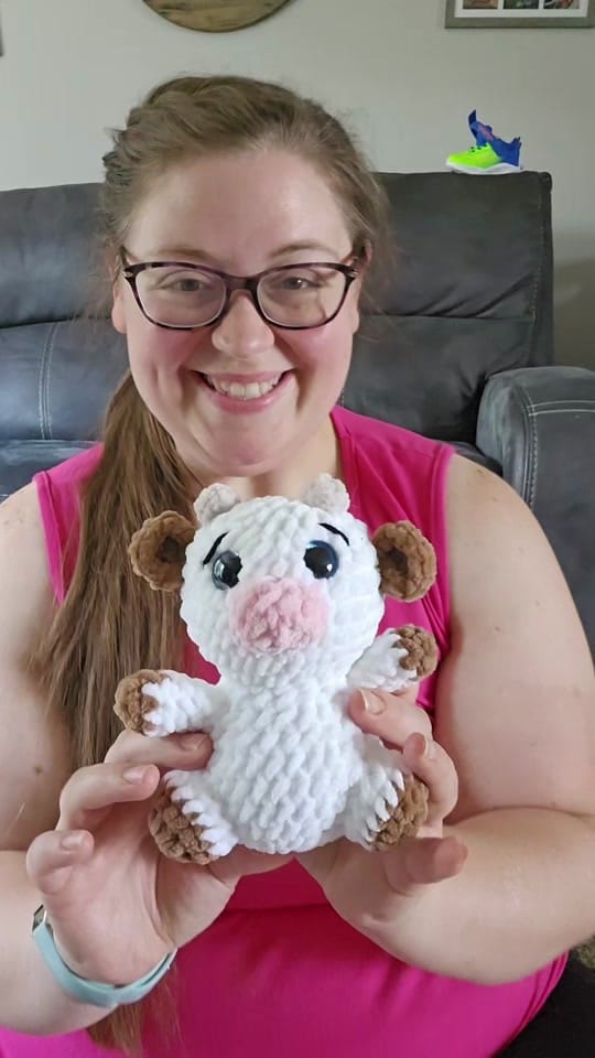 Post 1 by Michigan Crafting Momma on TikTok (video)