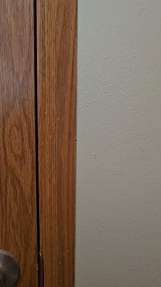 Post 7 by Michigan Crafting Momma on TikTok (video)