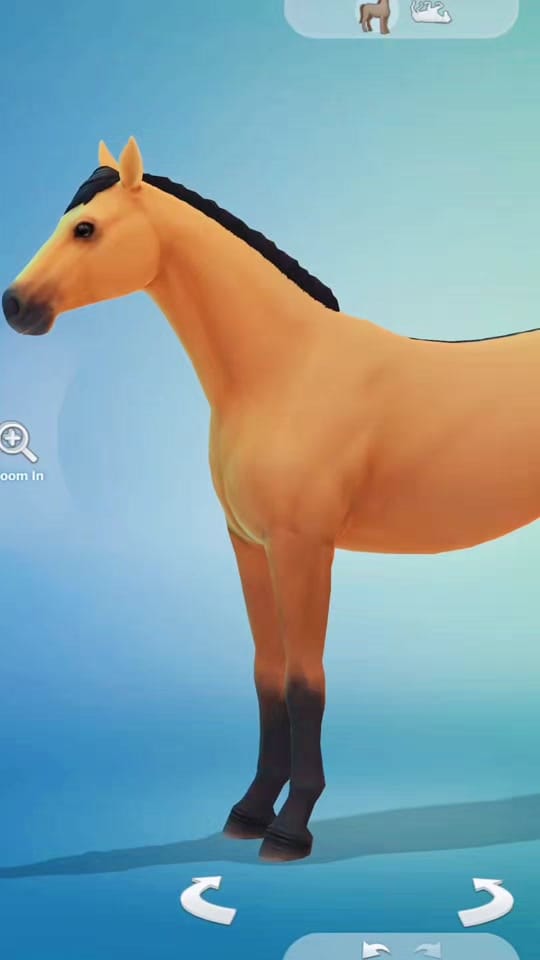 Post 8 by Chelsea Liz on TikTok (video)