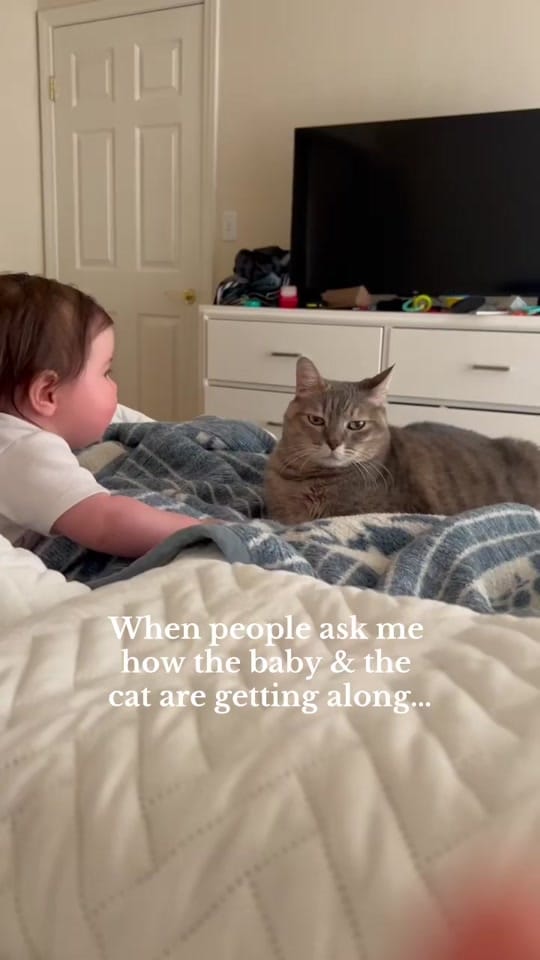 Post 5 by Chelsea Corp-Langone on TikTok (video)