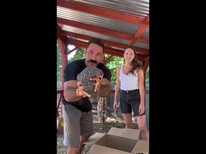 Post 4 by Brooke Stephenson on TikTok (video)