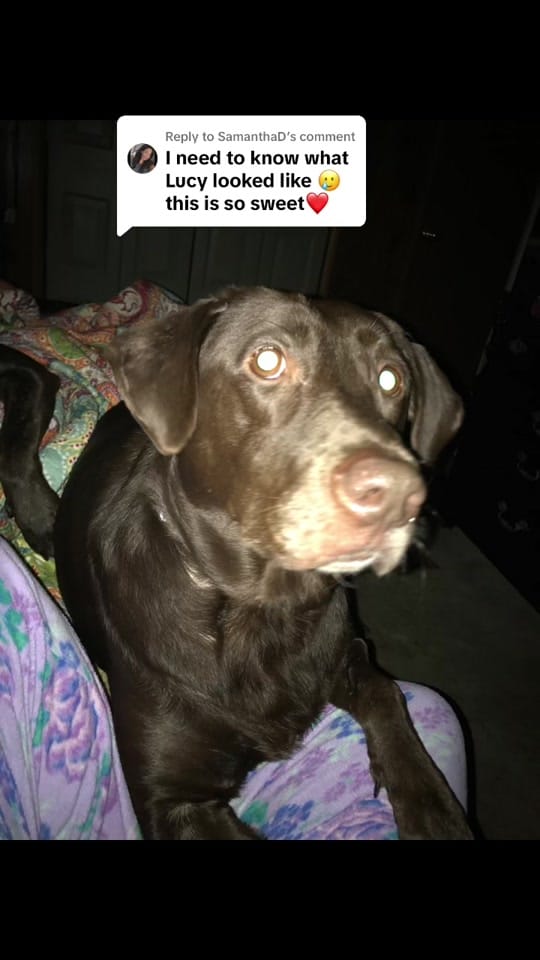 Post 8 by Chelsea | NICU mama 🩵 on TikTok (video)