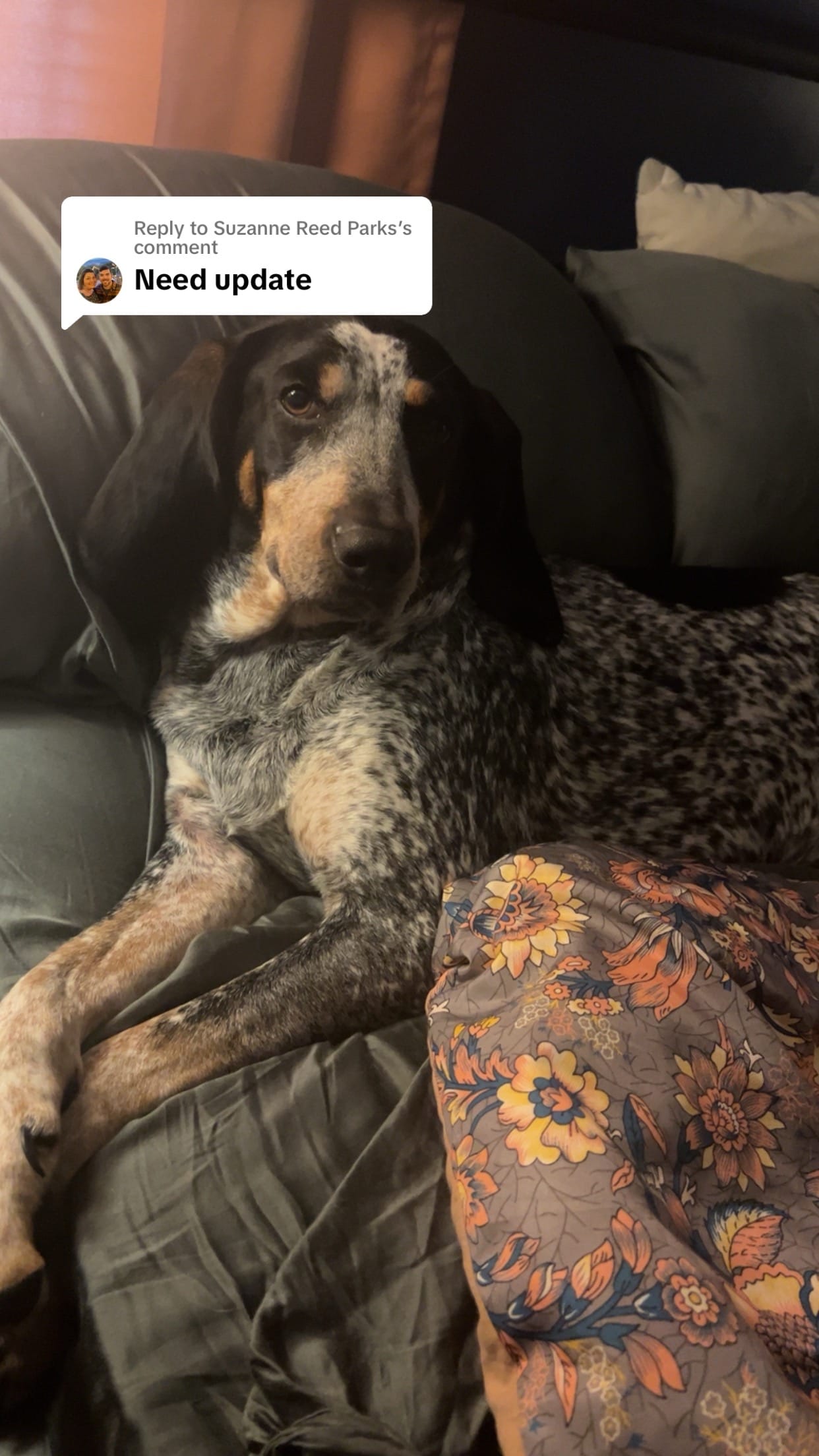 Post 9 by Chelsea | NICU mama 🩵 on TikTok (video)