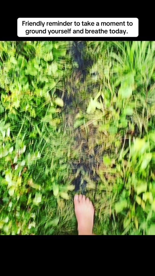 Post 6 by Laney Sweet - thebirthingtree on TikTok (video)