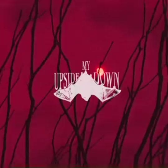 Post 10 by My Upside Down 🎪 on TikTok (video)
