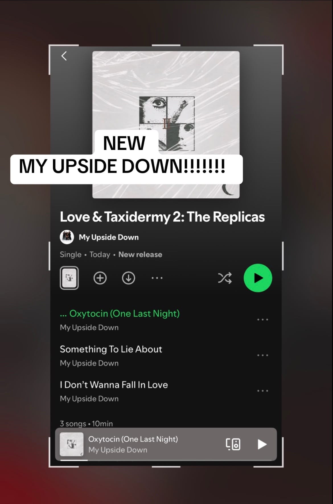 Post 7 by My Upside Down 🎪 on TikTok (video)