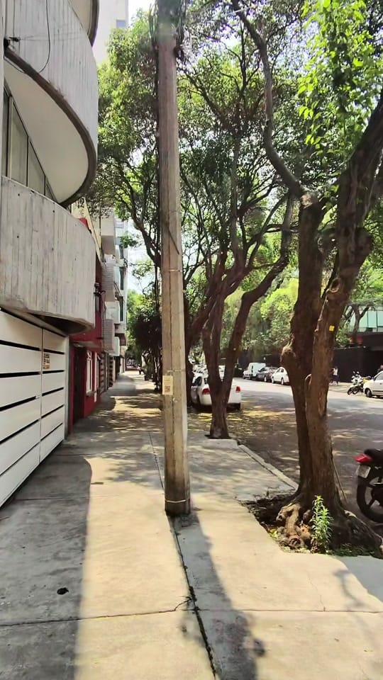 Post 6 by Armando Farill 👑 on TikTok (video)