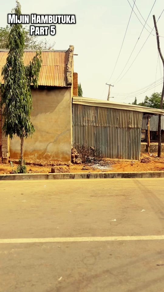 Post 8 by Dan Lami on TikTok (video)