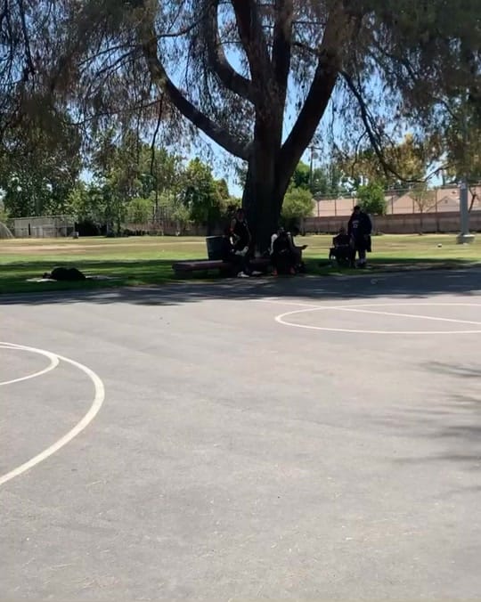 Post 9 by F O R C E D O E S I T on TikTok (video)