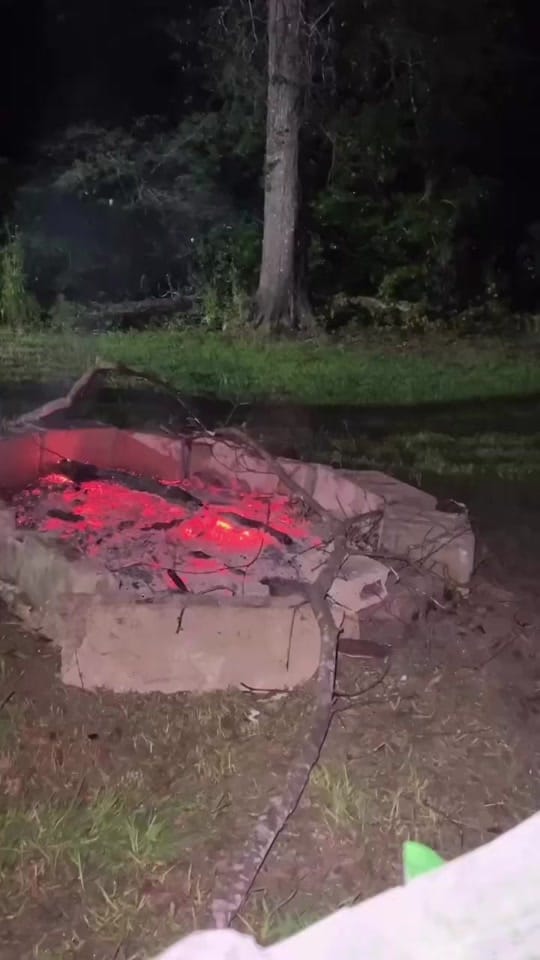 Post 5 by Ferruccio Rico Brown on TikTok (video)