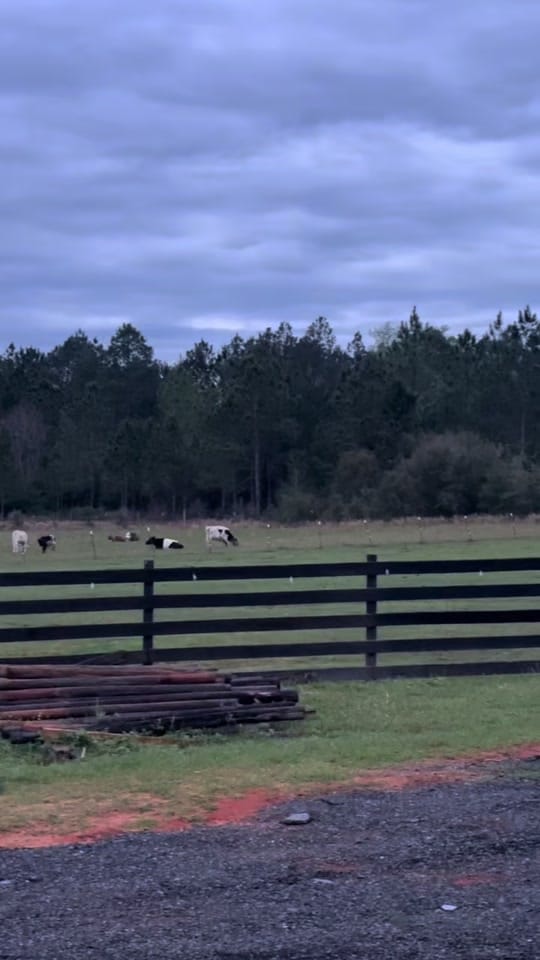 Post 3 by Chassidy on TikTok (video)