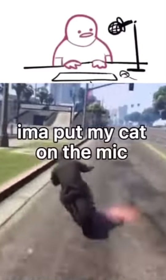 Post 10 by STAYTATTEDUP on TikTok (video)