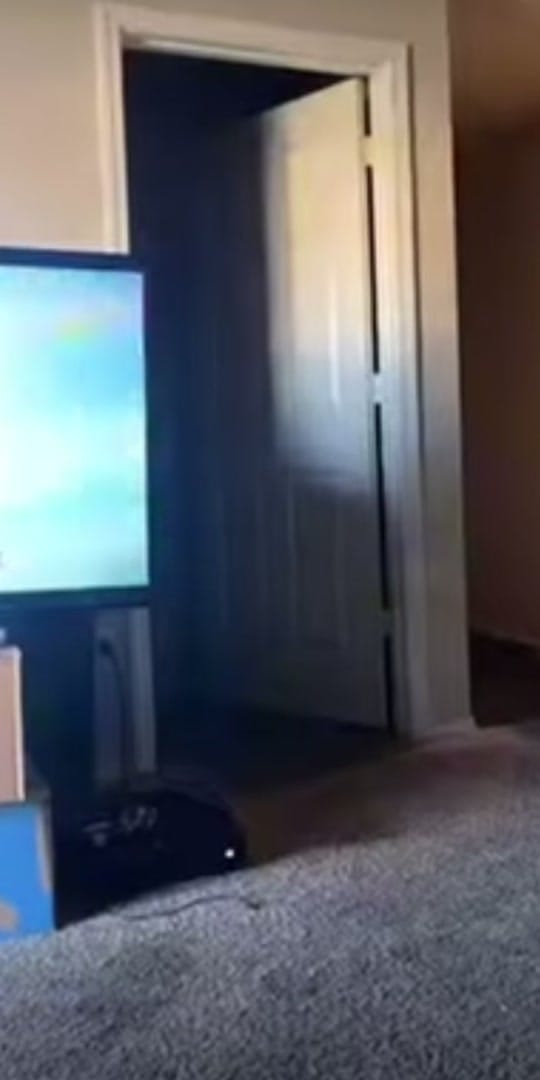Post 9 by STAYTATTEDUP on TikTok (video)