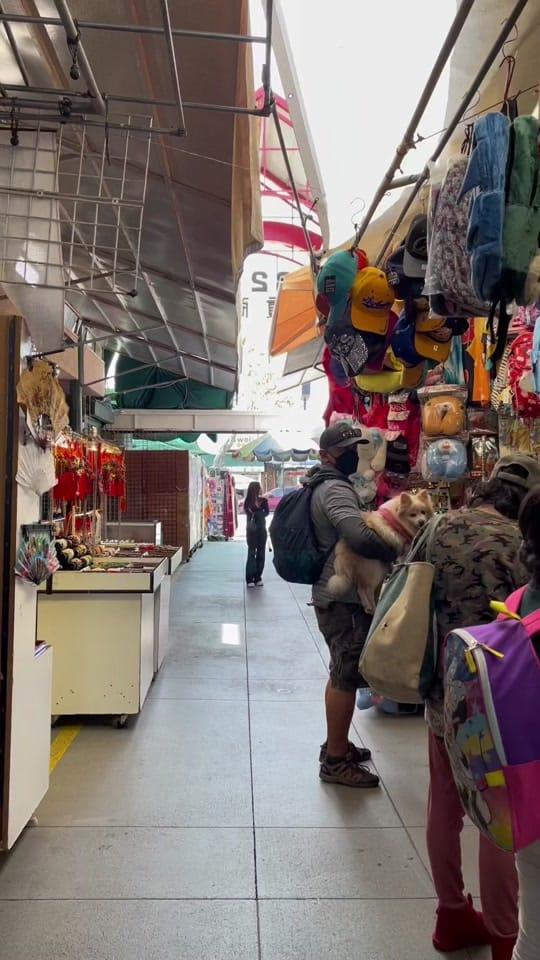 Post 9 by singyanjewelry on TikTok (video)