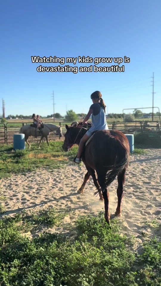 Post 3 by Kyle Warr on TikTok (video)