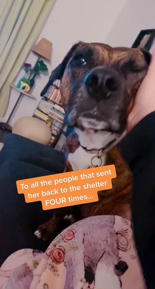Post 1 by Gwen Fraser on TikTok (video)
