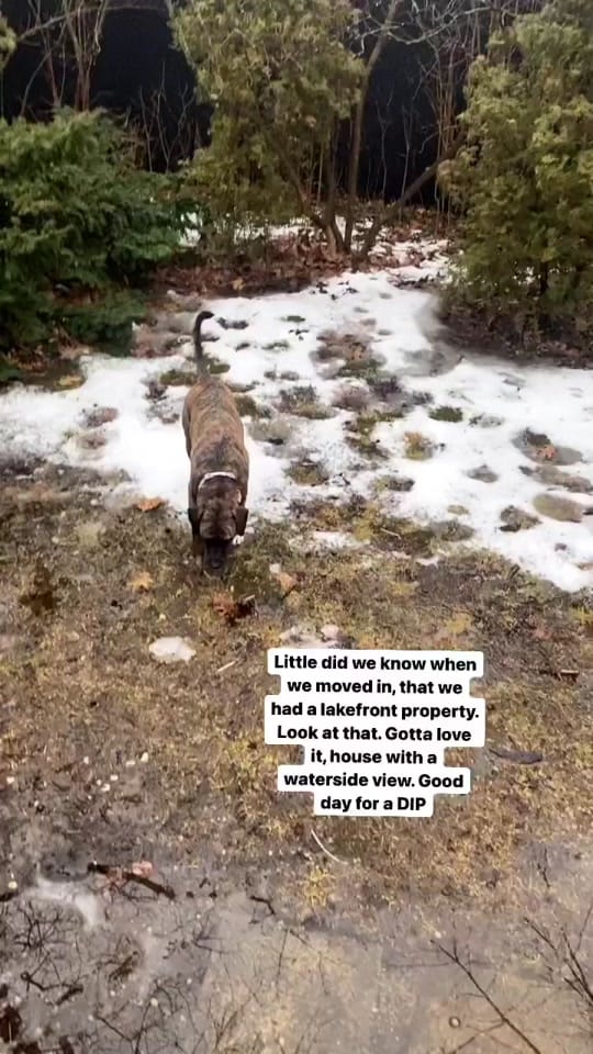Post 4 by Gwen Fraser on TikTok (video)