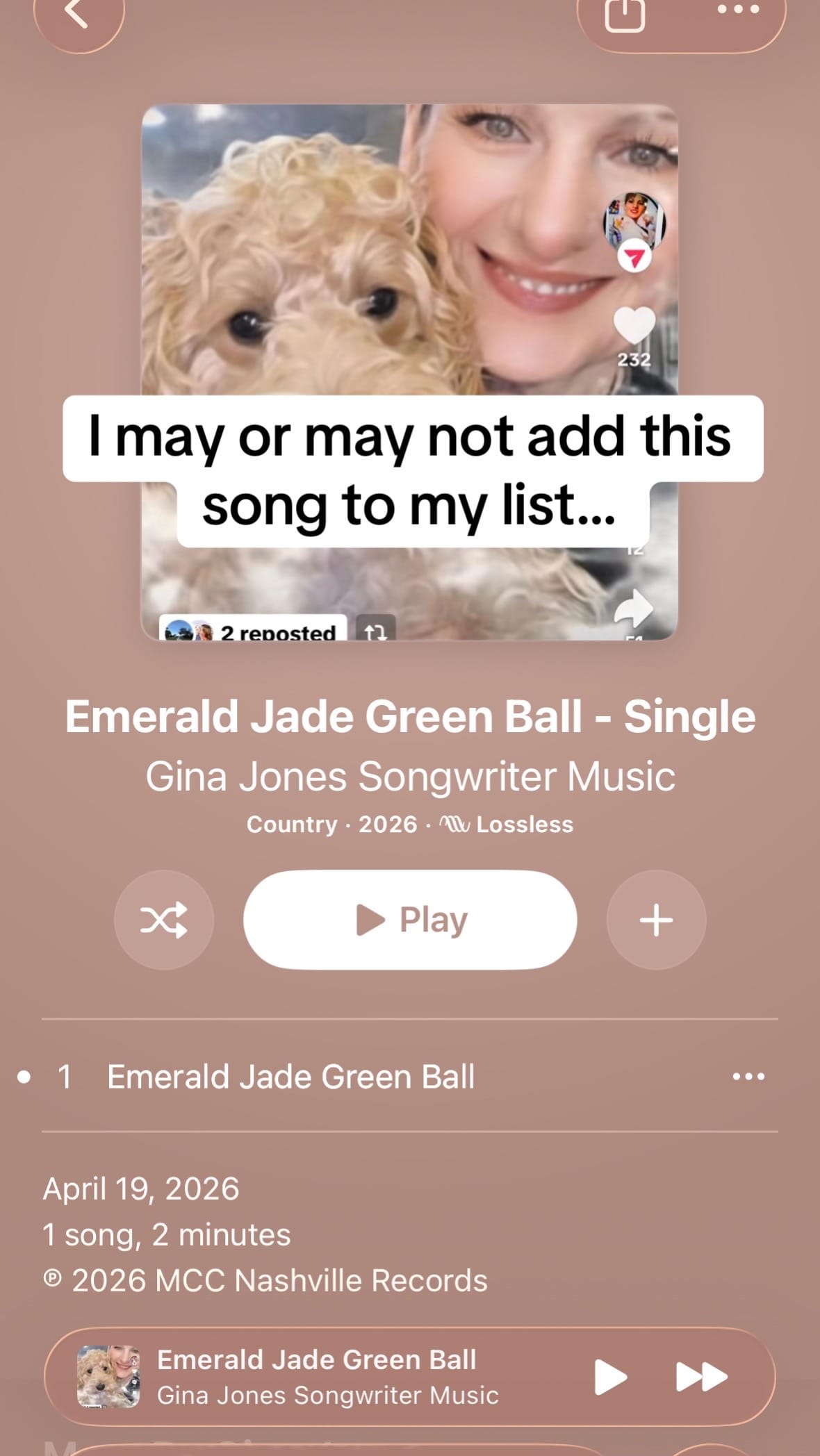 Post 4 by n o a h on TikTok (video)