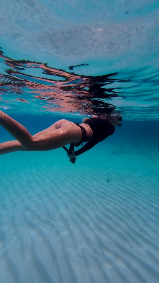 Post 9 by Thatssoolaurenunderwater on TikTok (video)