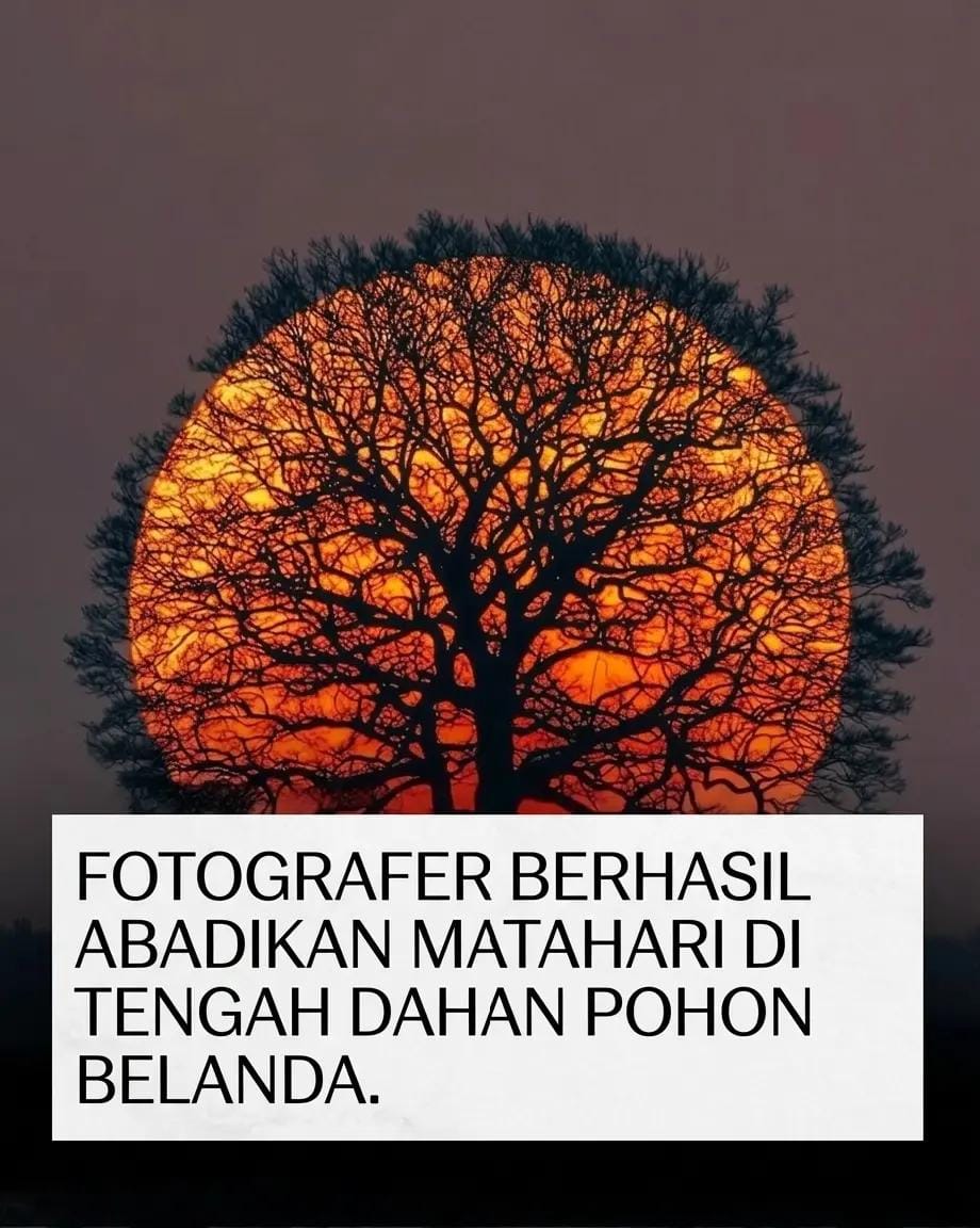 Post 10 by 𝕷𝖚𝖕𝖆𝖓𝖆𝖒𝖆 on TikTok (video)