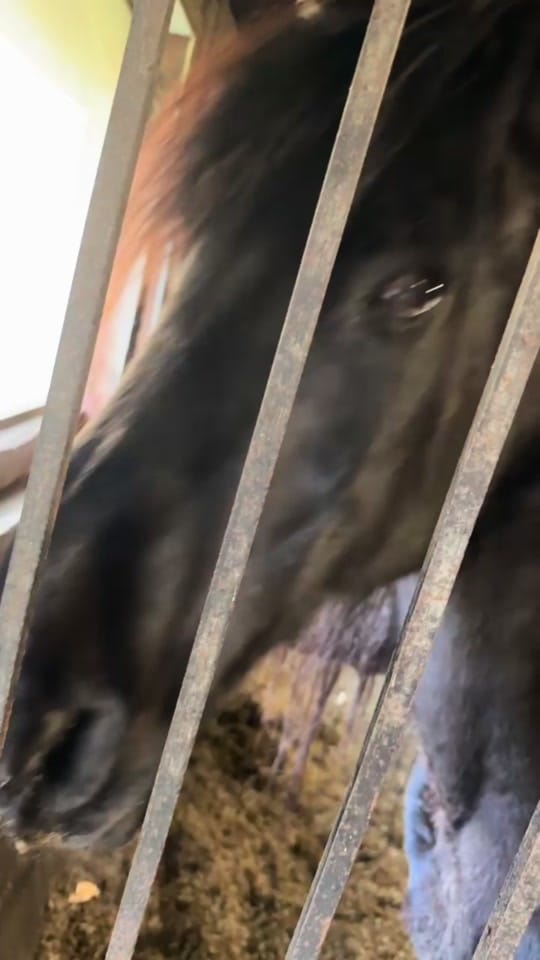 Post 3 by kr334 on TikTok (video)