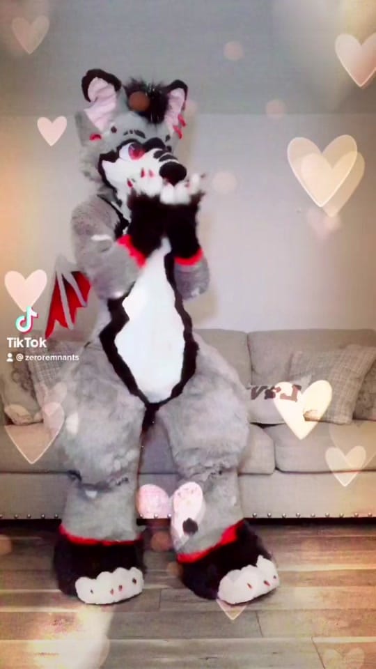 Post 6 by zeroremnants on TikTok (video)