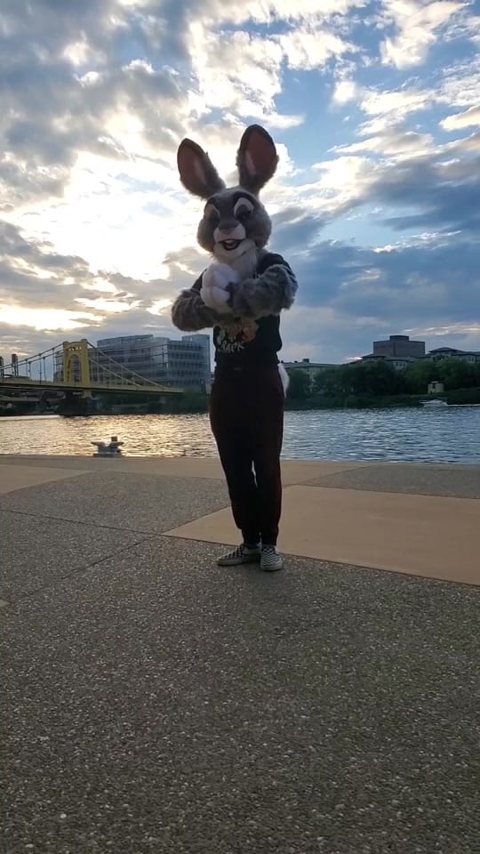 Post 7 by zeroremnants on TikTok (video)