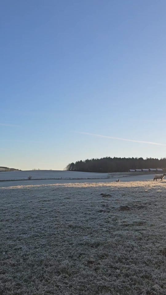 Post 5 by Castle Guards Farm Retreat on TikTok (video)