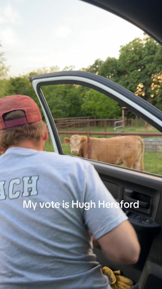 Post 9 by BlevinsFamilyRanch on TikTok (video)