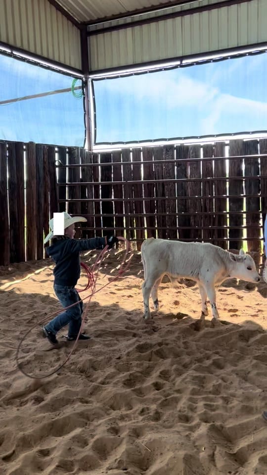 Post 7 by BlevinsFamilyRanch on TikTok (video)