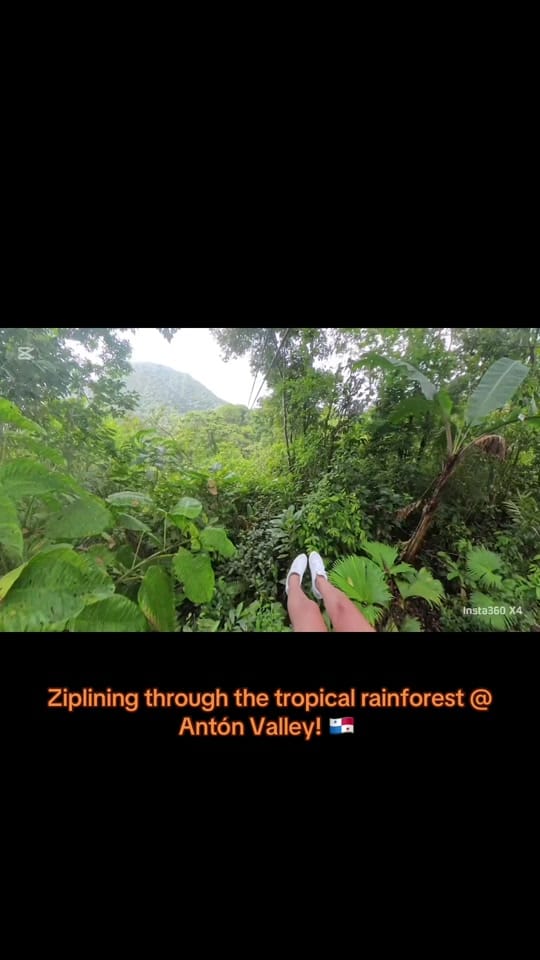 Post 8 by 𝕝𝕖𝕩𝕚𝕖 🪶 on TikTok (video)