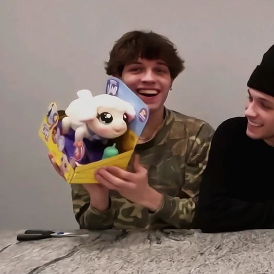 Post 2 by sturniolo4ever on TikTok (video)