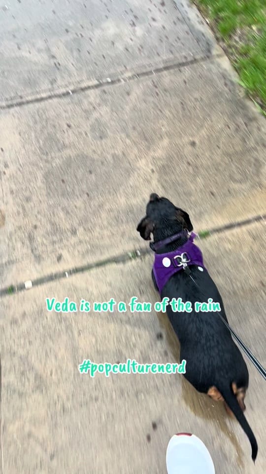 Post 4 by Matt on TikTok (video)