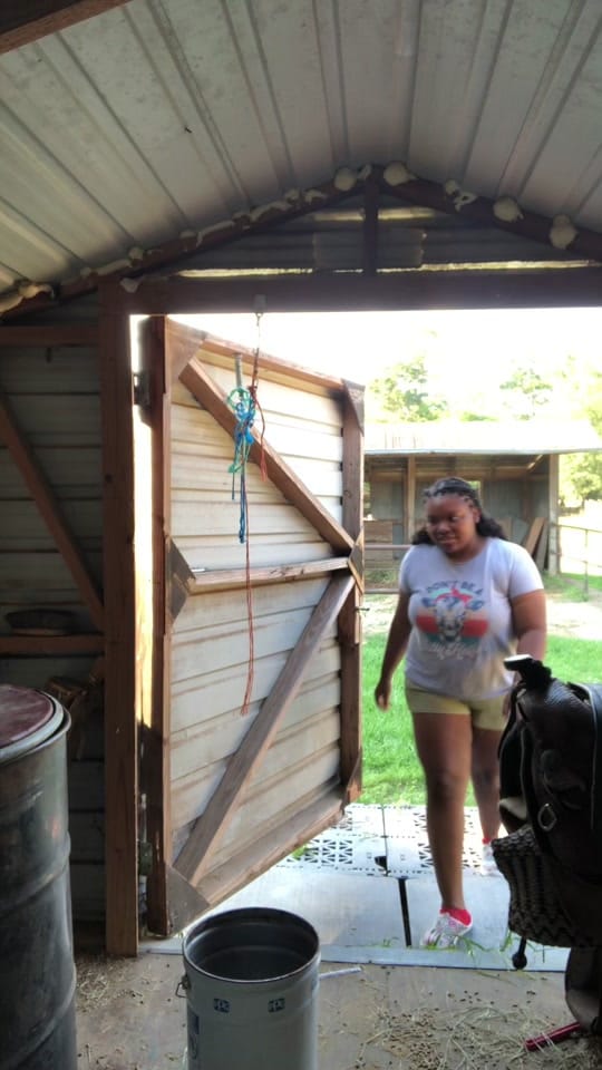 Post 4 by Chattin’ w/ Chels 💗✨⚡️ on TikTok (video)