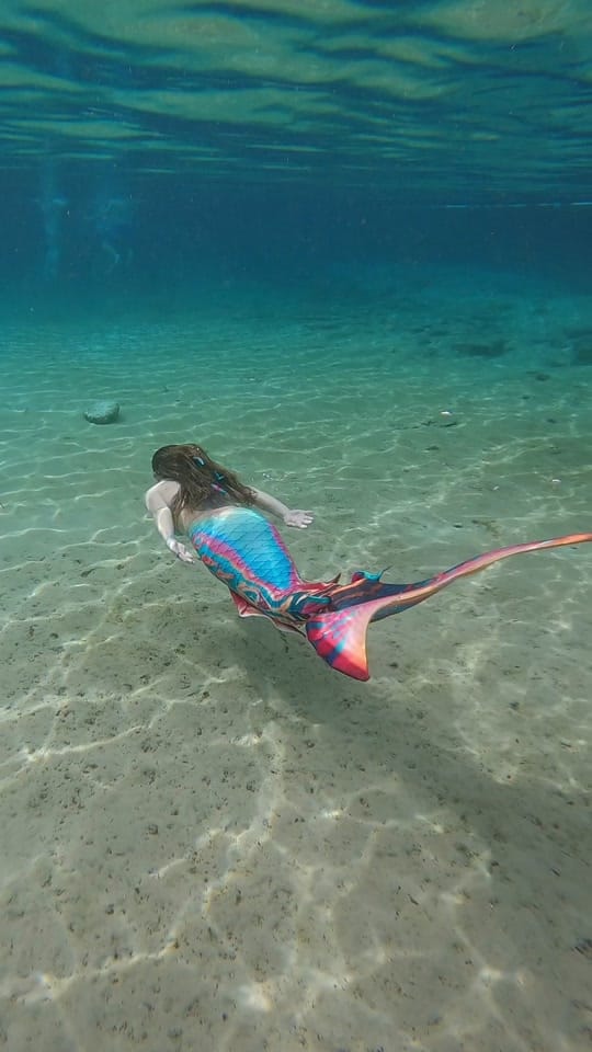 Post 2 by shellseaflmermaid on TikTok (video)