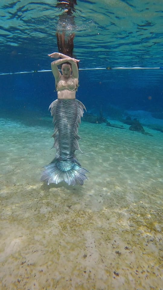 Post 1 by shellseaflmermaid on TikTok (video)