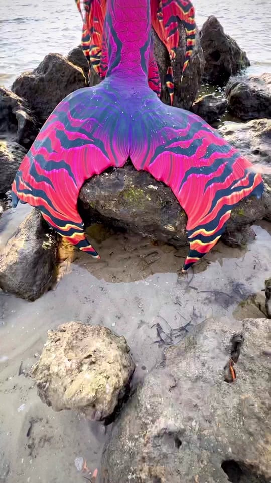 Post 5 by shellseaflmermaid on TikTok (video)