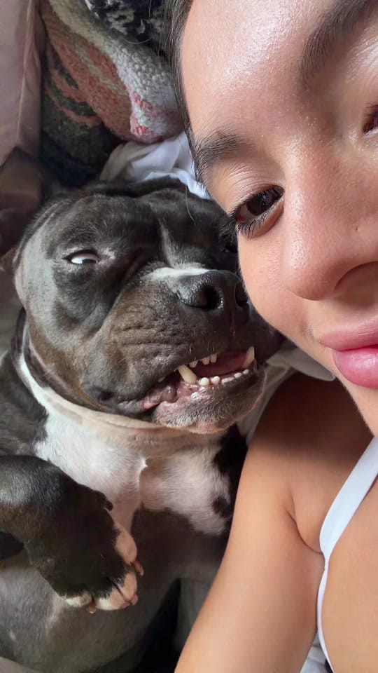 Post 6 by Petra on TikTok (video)
