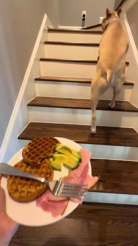Post 8 by Glo on TikTok (video)