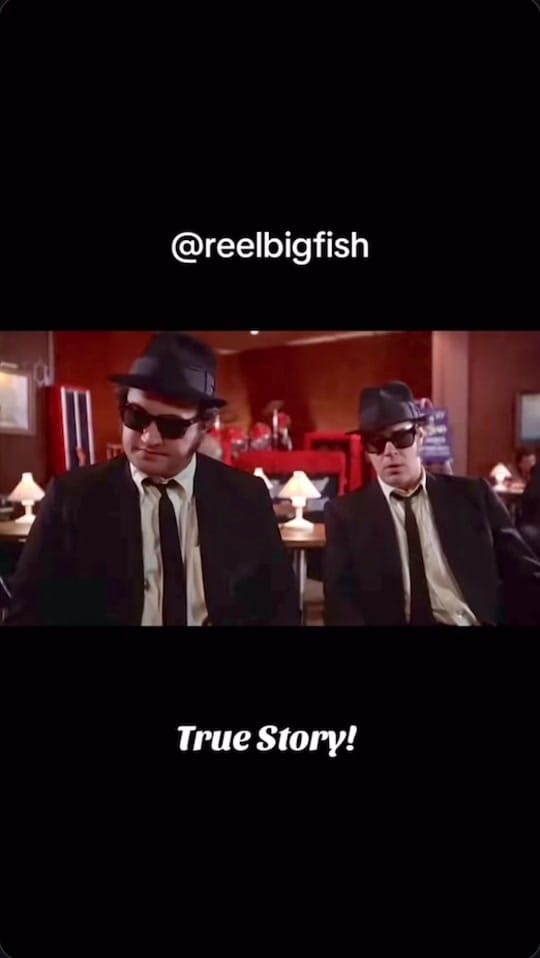 Post 5 by Reel Big Fish on TikTok (video)