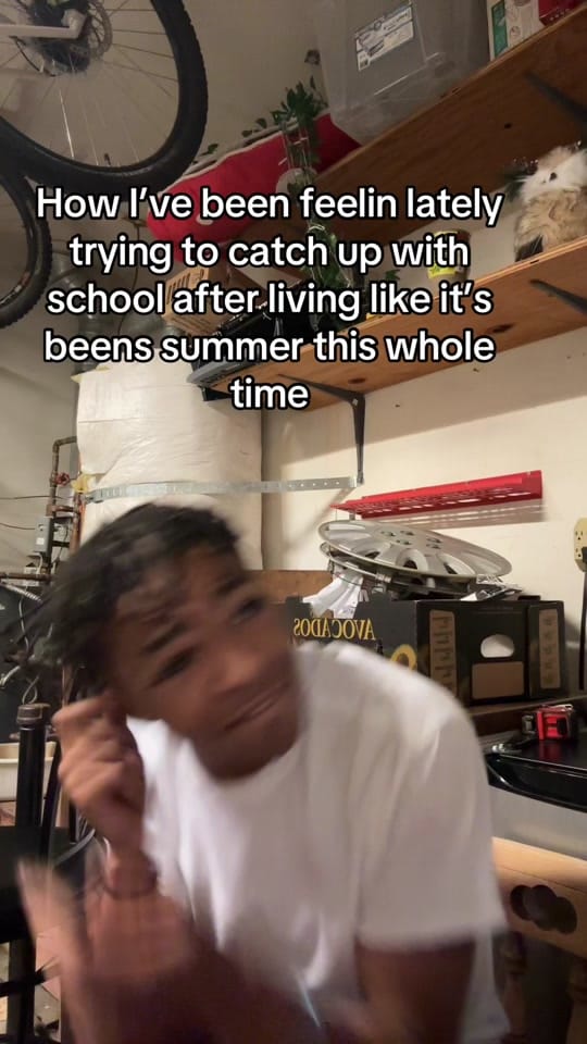 Post 5 by kalakai_539 on TikTok (video)