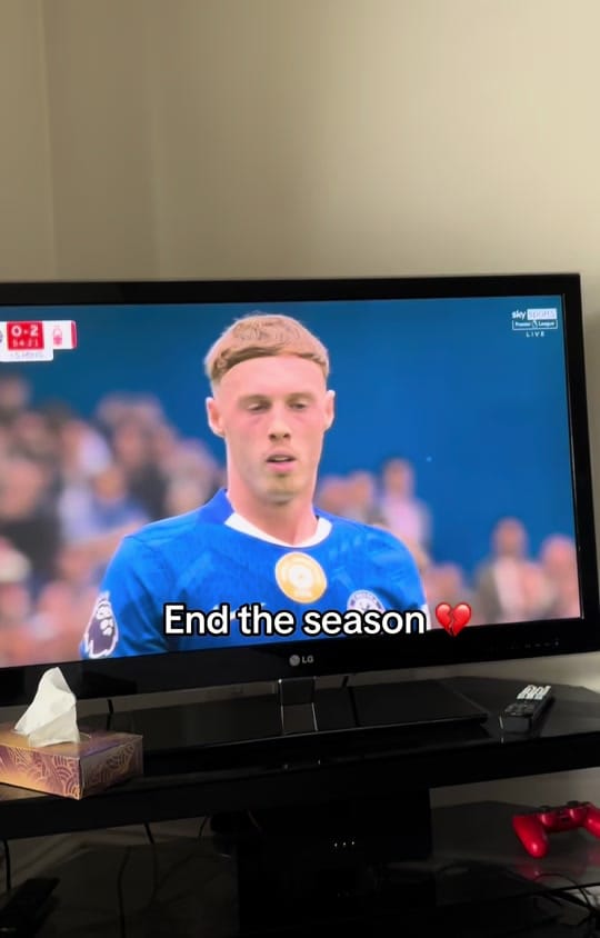 Post 6 by cfc.aich on TikTok (video)