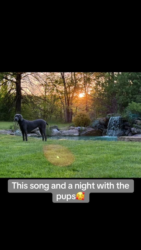 Post 7 by Excavator Chic on TikTok (video)