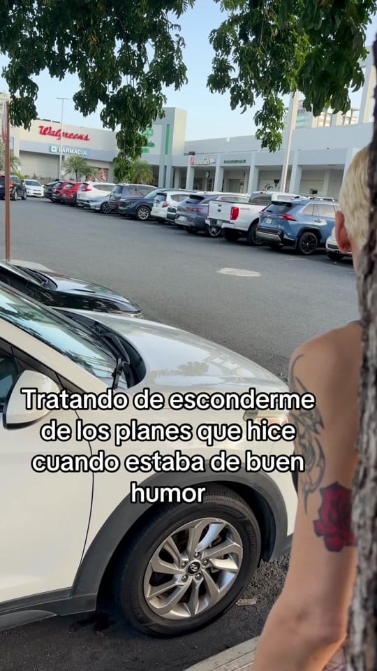 Post 4 by amarsotomayor 🪽 on TikTok (video)