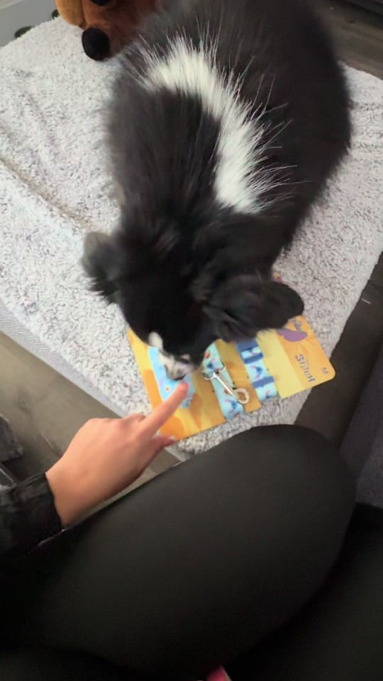 Post 7 by Vanessa on TikTok (video)