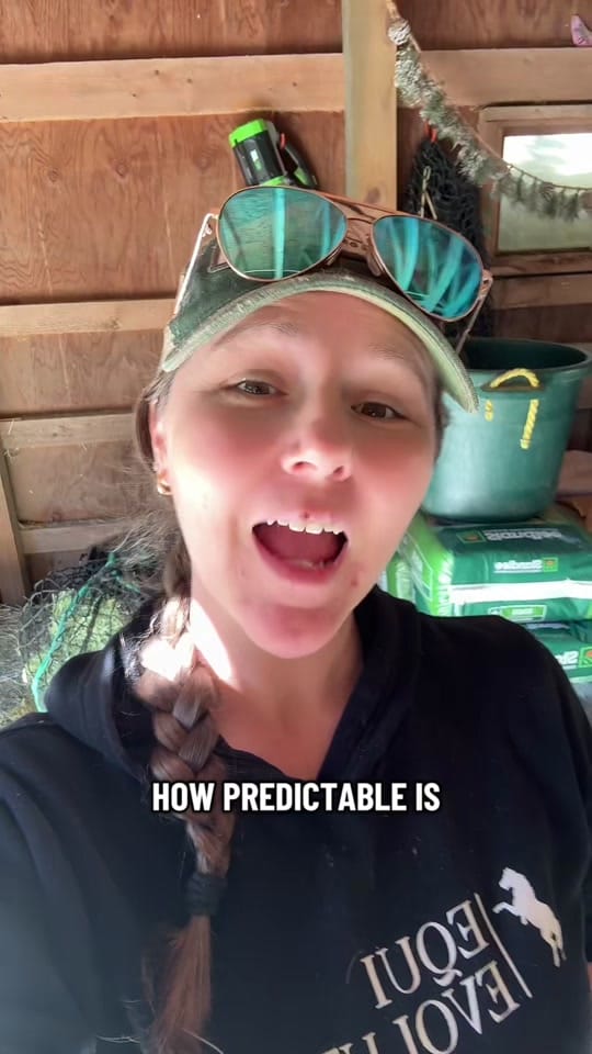 Post 7 by Equi Evolution on TikTok (video)