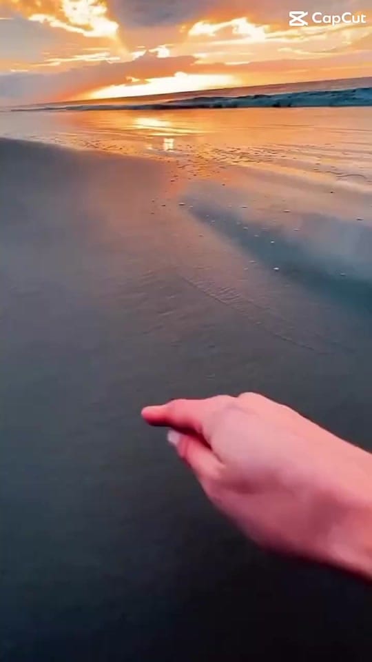 Post 10 by Sammy on TikTok (video)
