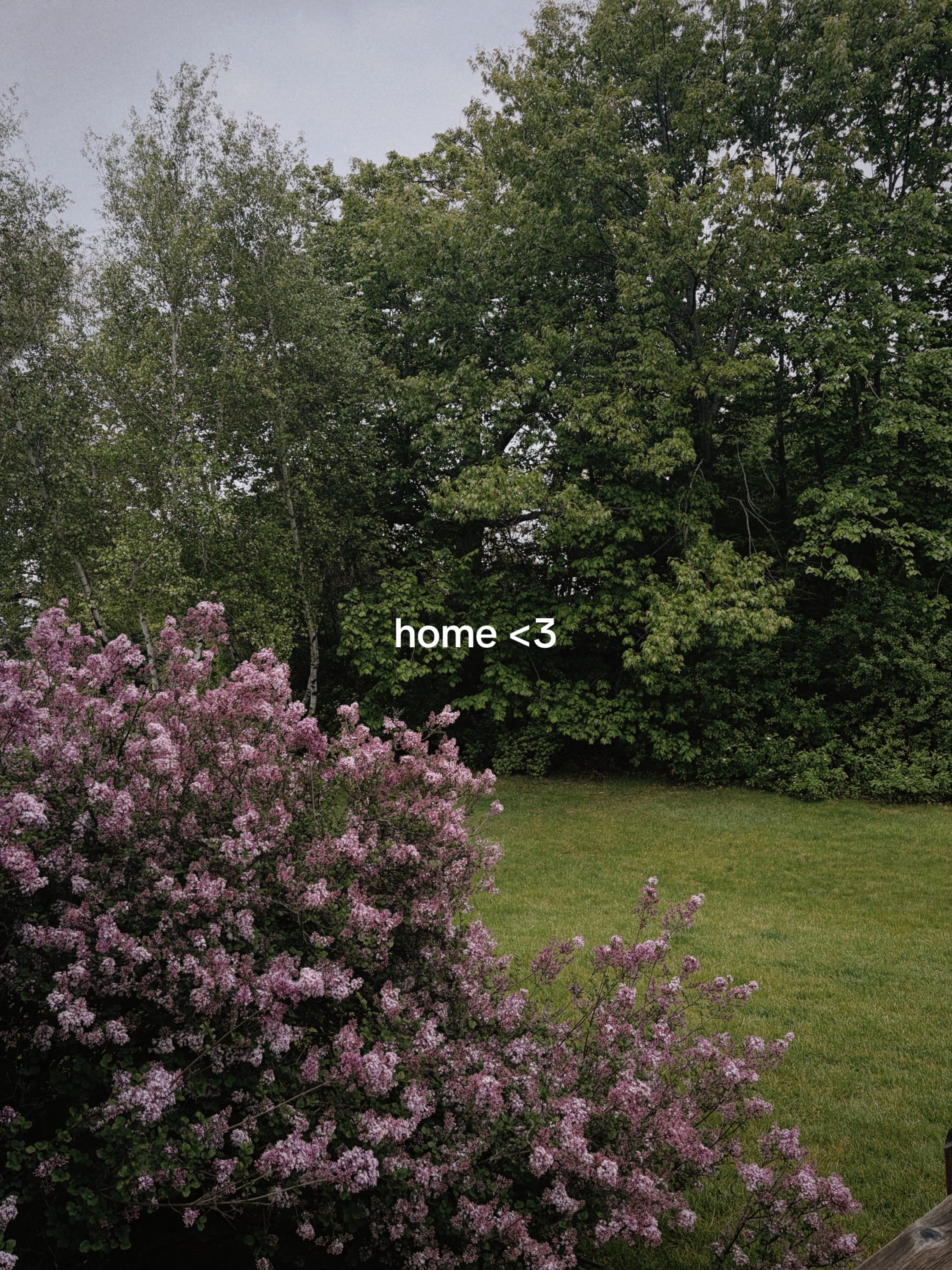 Post 1 by Greta Philip on TikTok (video)
