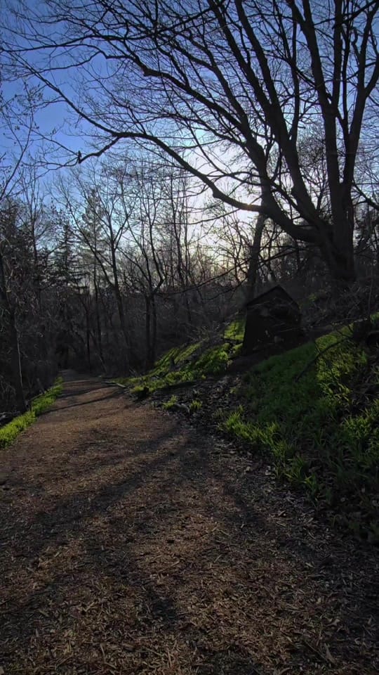 Post 3 by fifilives on TikTok (video)