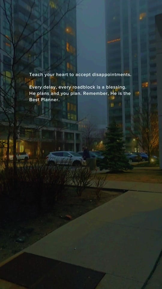 Post 10 by fifilives on TikTok (video)